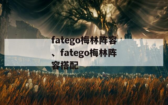 fatego梅林阵容、fatego梅林阵容搭配-第1张图片-一粒游戏网