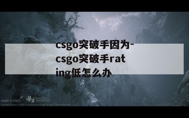 csgo突破手因为-csgo突破手rating低怎么办-第1张图片-一粒游戏网