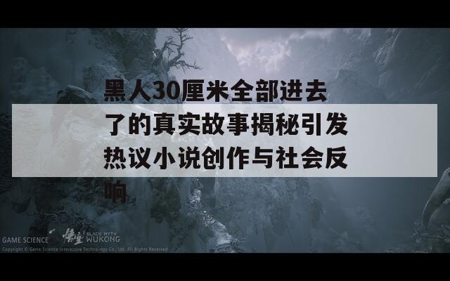 黑人30厘米全部进去了的真实故事揭秘引发热议小说创作与社会反响-第1张图片-一粒游戏网