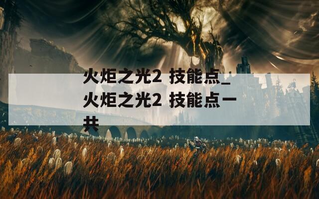 火炬之光2 技能点_火炬之光2 技能点一共-第1张图片-一粒游戏网