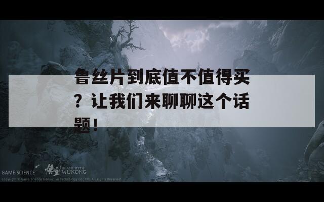 鲁丝片到底值不值得买？让我们来聊聊这个话题！-第1张图片-一粒游戏网