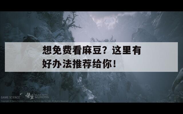 想免费看麻豆？这里有好办法推荐给你！-第1张图片-一粒游戏网