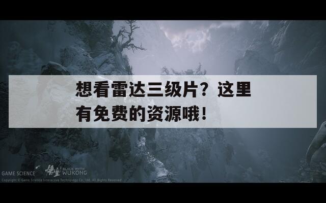 想看雷达三级片？这里有免费的资源哦！-第1张图片-一粒游戏网