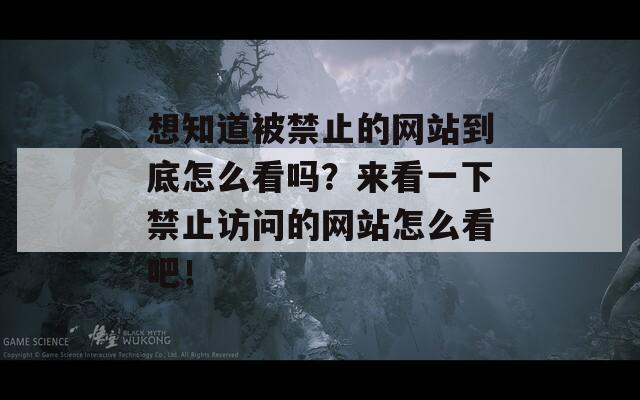 想知道被禁止的网站到底怎么看吗？来看一下禁止访问的网站怎么看吧！-第1张图片-一粒游戏网