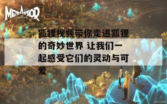 狐狸视频带你走进狐狸的奇妙世界 让我们一起感受它们的灵动与可爱-第1张图片-一粒游戏网