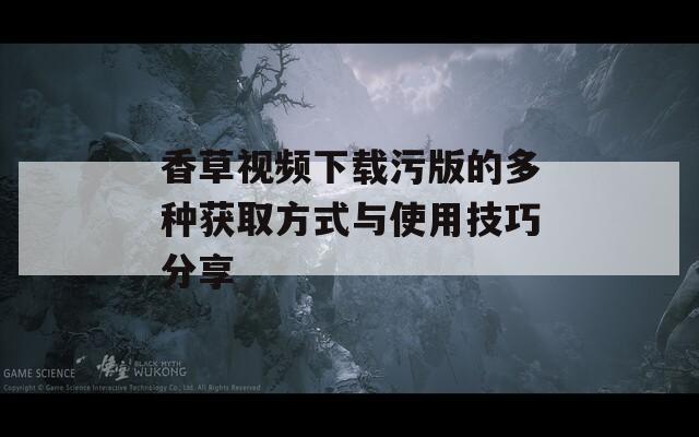 香草视频下载污版的多种获取方式与使用技巧分享-第1张图片-一粒游戏网