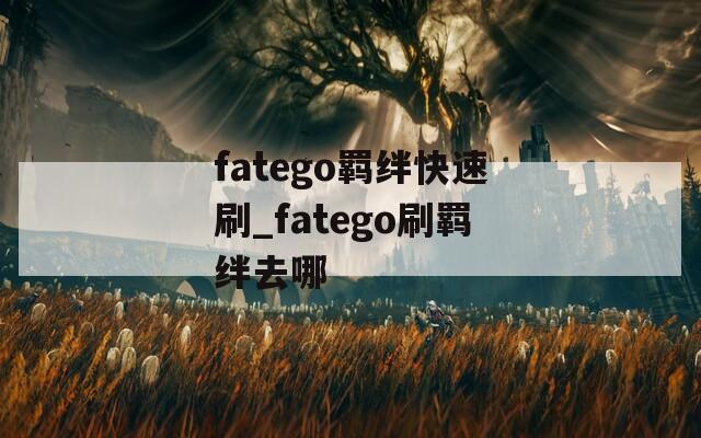 fatego羁绊快速刷_fatego刷羁绊去哪-第1张图片-一粒游戏网