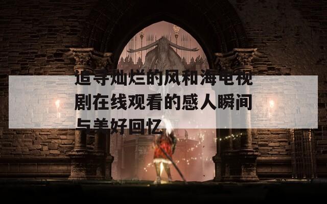 追寻灿烂的风和海电视剧在线观看的感人瞬间与美好回忆-第1张图片-一粒游戏网