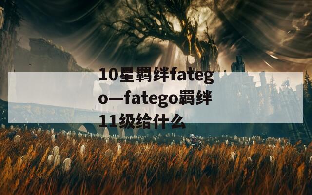 10星羁绊fatego—fatego羁绊11级给什么-第1张图片-一粒游戏网