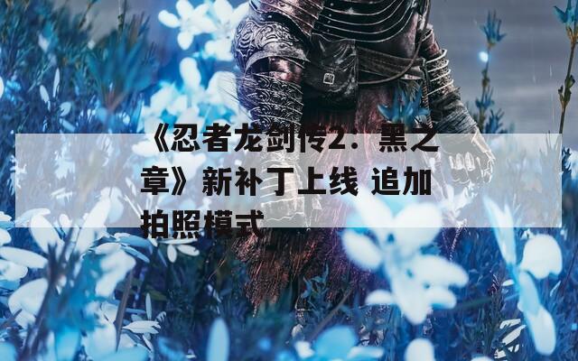 《忍者龙剑传2：黑之章》新补丁上线 追加拍照模式-第1张图片-一粒游戏网