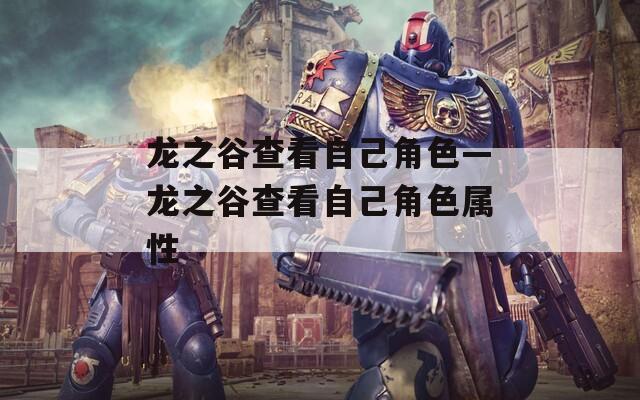 龙之谷查看自己角色—龙之谷查看自己角色属性-第1张图片-一粒游戏网