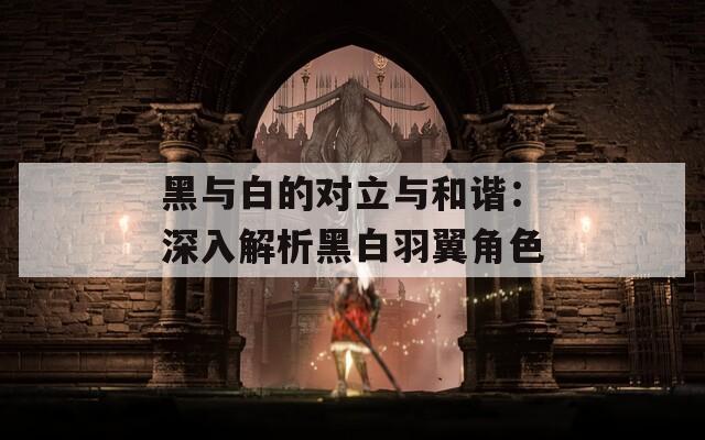 黑与白的对立与和谐：深入解析黑白羽翼角色-第1张图片-一粒游戏网