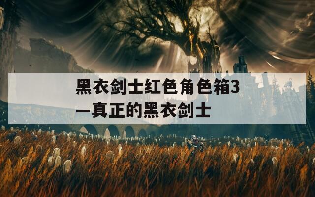 黑衣剑士红色角色箱3—真正的黑衣剑士-第1张图片-一粒游戏网