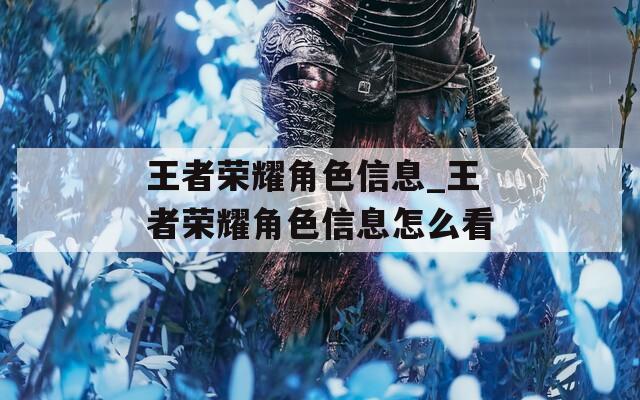 王者荣耀角色信息_王者荣耀角色信息怎么看-第1张图片-一粒游戏网